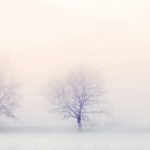 61634-white_winter_scenery_wallpaper