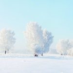 white-winter-wallpaper-3